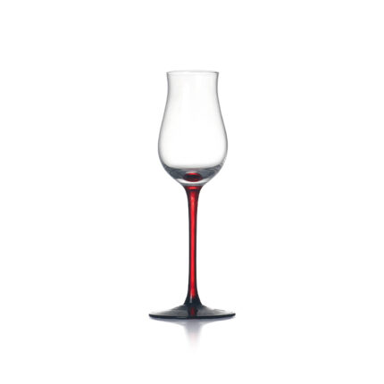Stylish Tulip Champagne Glass